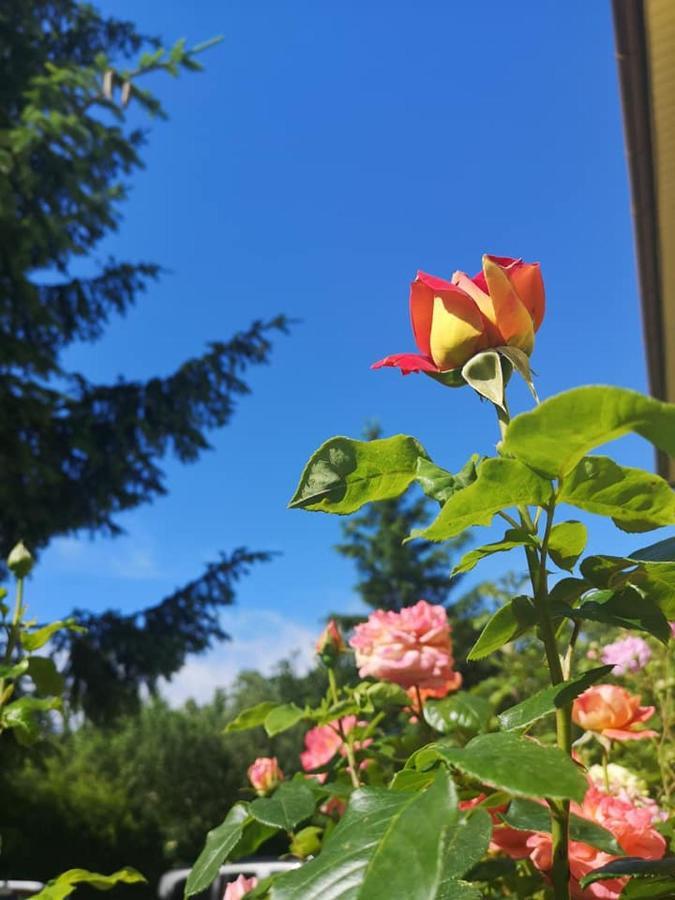 Penzion Pod Orechom Turčianske Teplice Eksteriør billede
